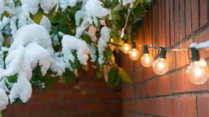 Solar string lights on a wall next to snow on a tree