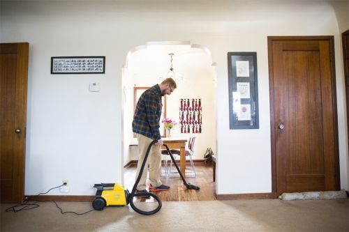 Bissell Little Green Multi-Purpose Portable Carpet & Upholstery Cleaner  review