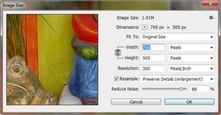 Image size dialog box