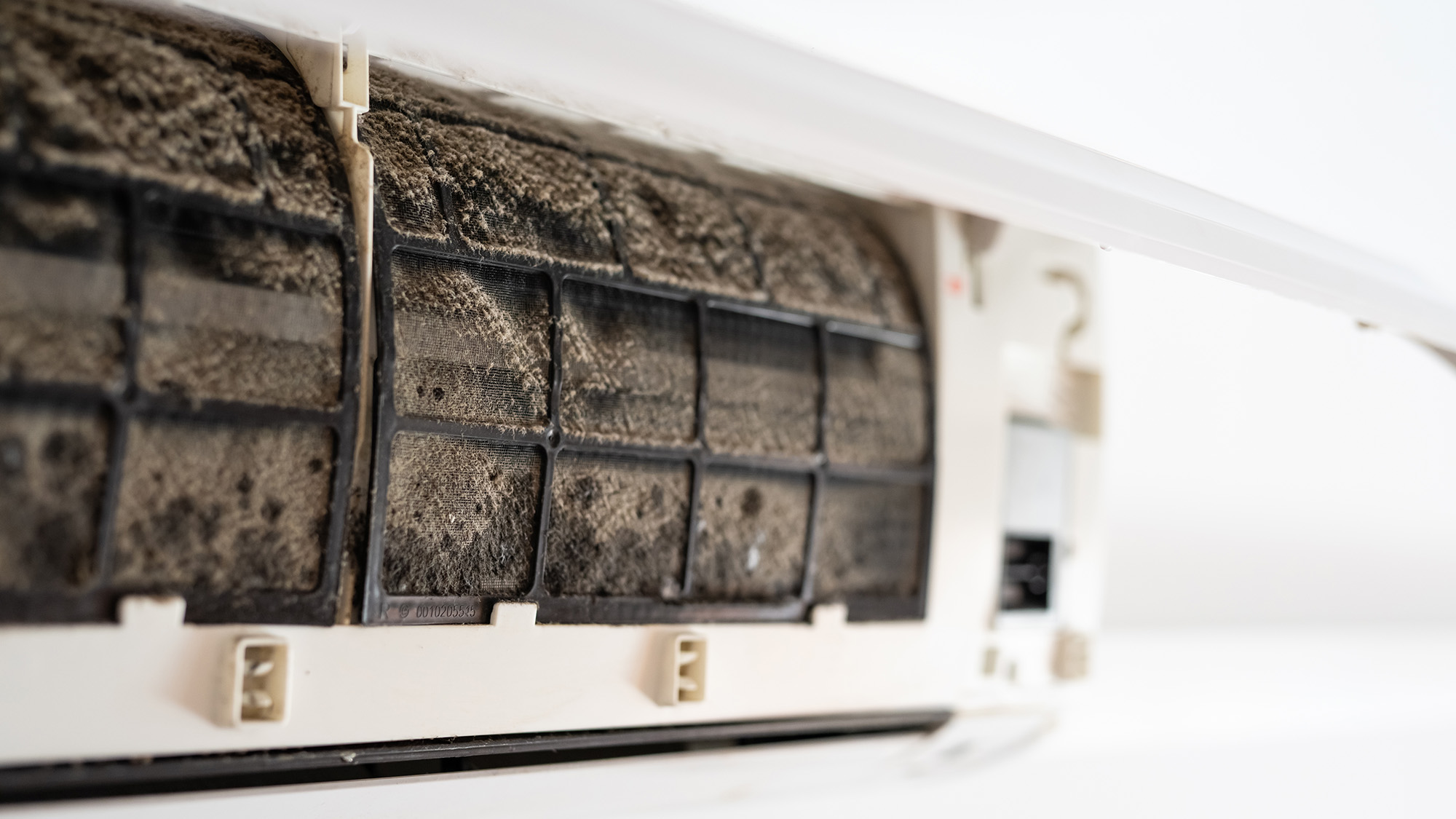 Mold and dirt on air conditioning filter