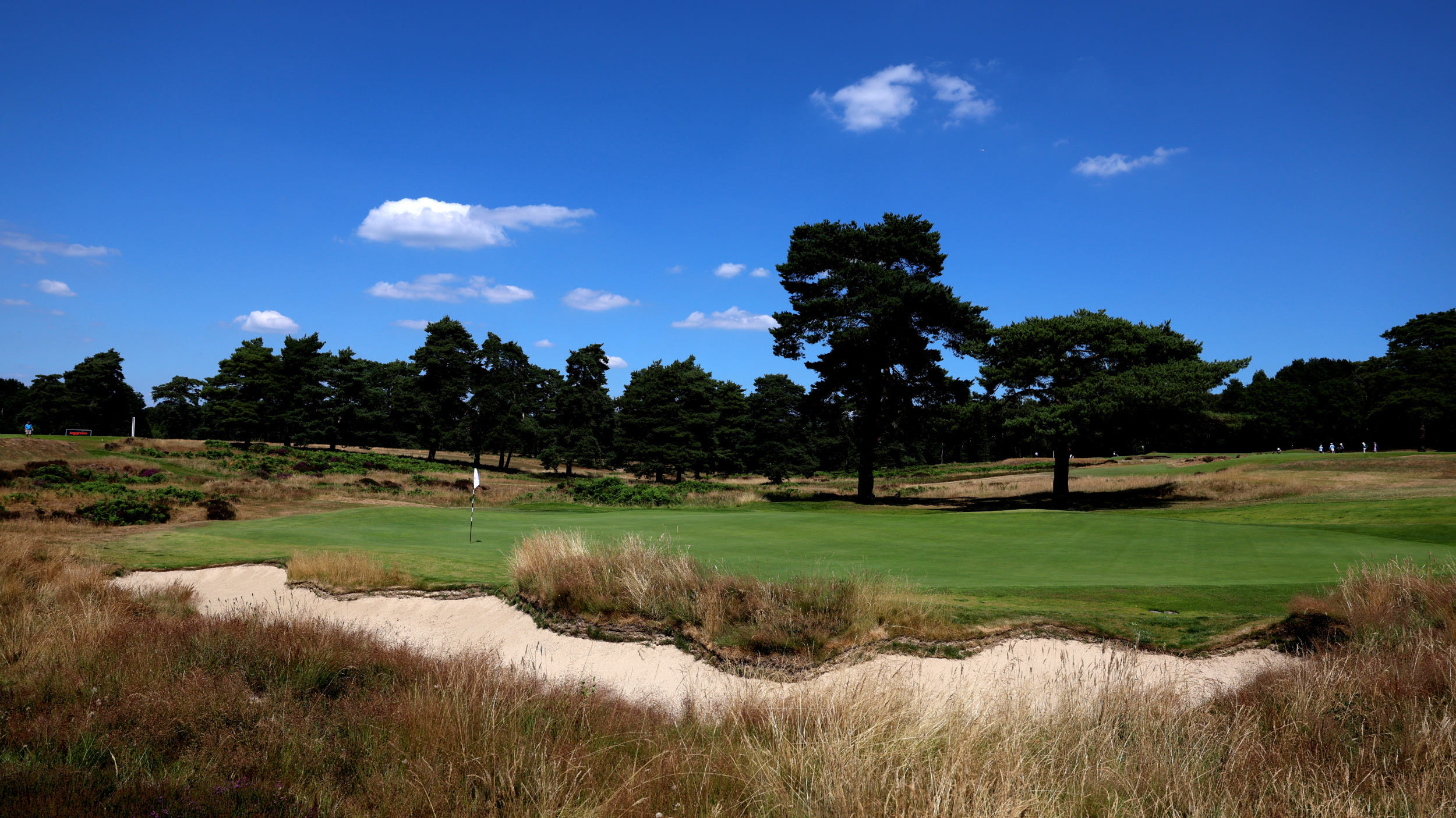 Walton Heath