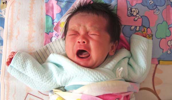 fake babies that cry and poop