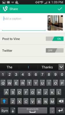 Adding Details to Vine