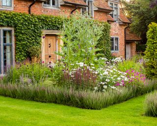 How to plant a cottage garden border - designed by Ana Mari Bull