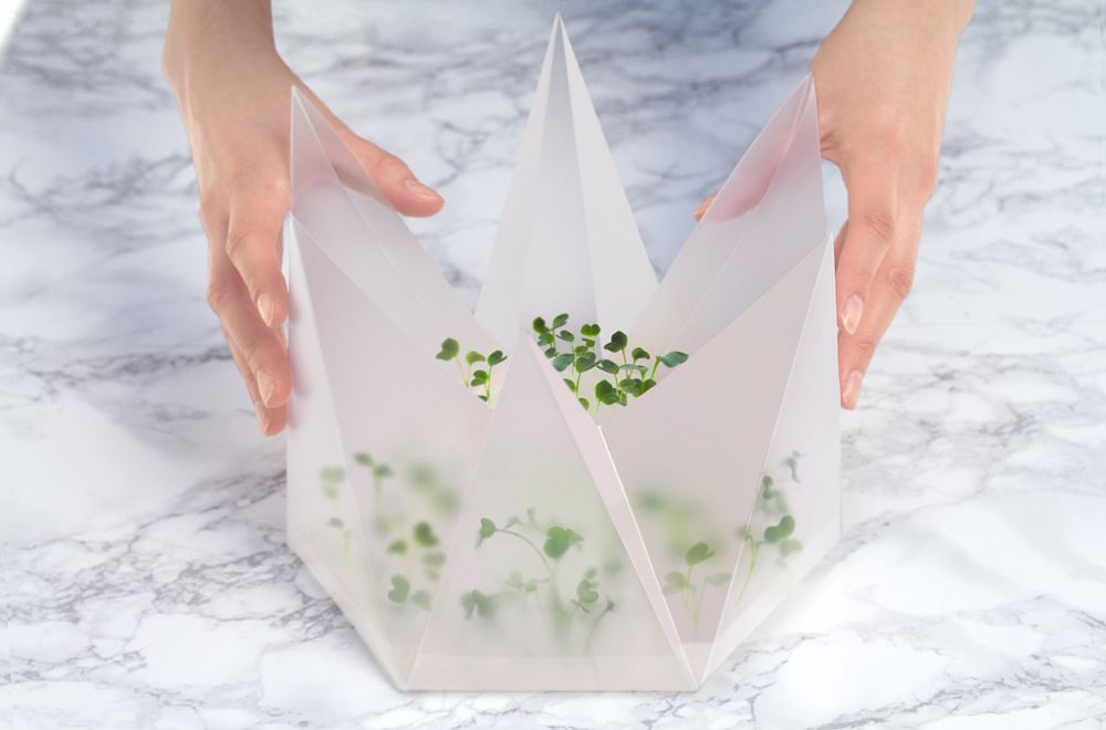 You'll want this beautiful miniature greenhouse on your desk | Creative ...