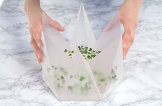 Microgarden growing kit