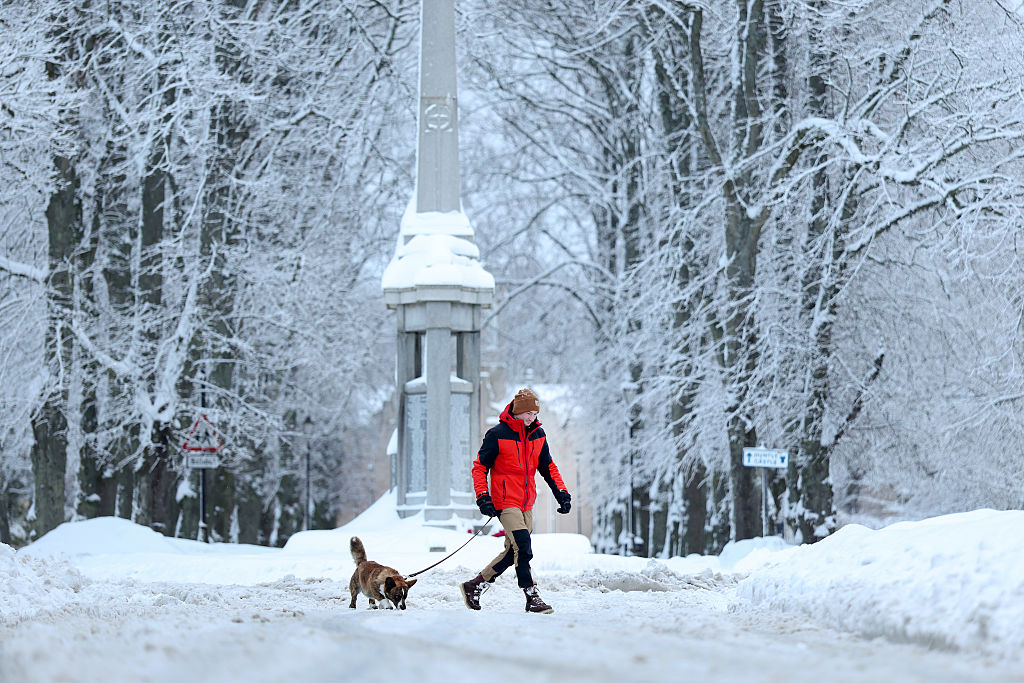 Person walks their dog in the snow