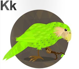 Chris Margerison - Kakapo