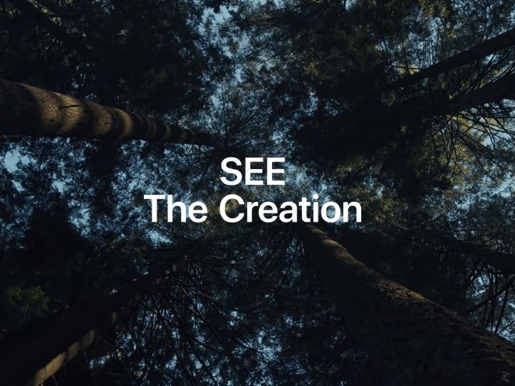 SEE The Creation