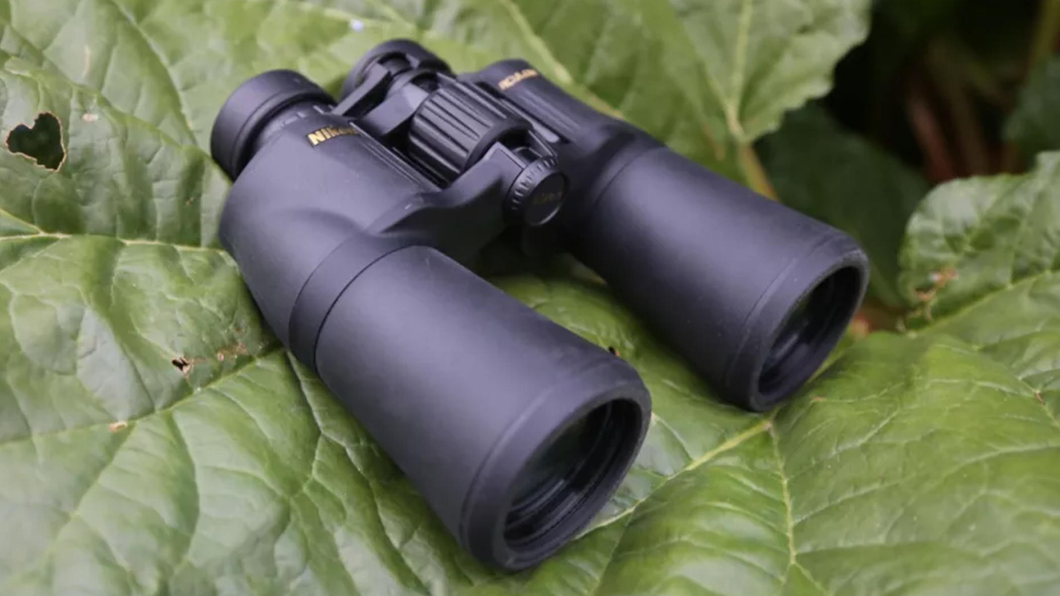Review photo of the Nikon 10x50 Aculon A211