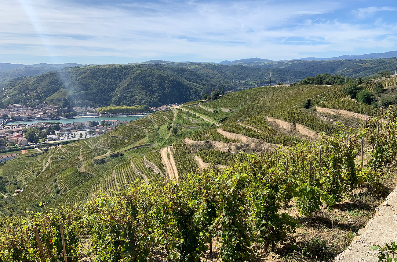 Rh&amp;ocirc;ne 2020