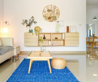 Modern tidy living room with blue rug under coffee table