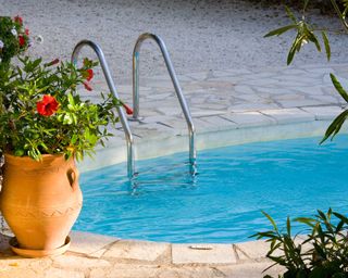 pool and terracotta pot with plant