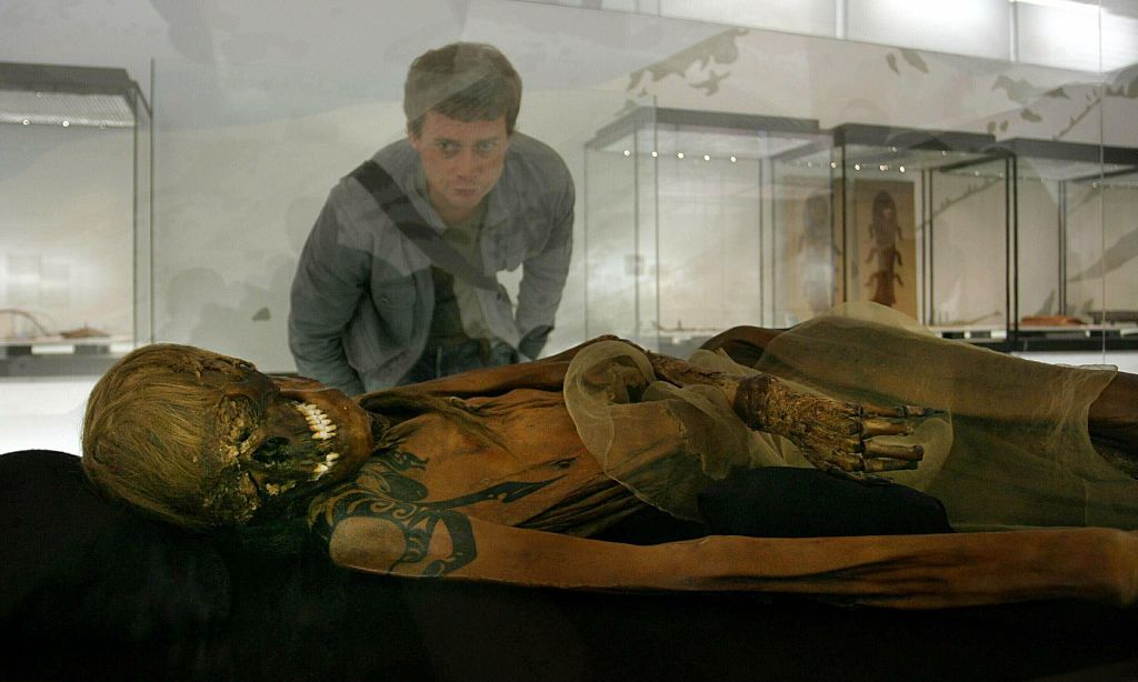 A man in a gray shirt and blue pants stands looking down into a glass case that includes the skeletal remains of Otzi the Iceman, with the gray skull facing the camera and dark ink of tattoos visible on the remains.