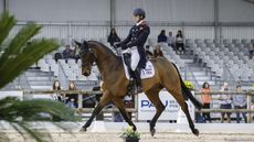 Harry Meade riding Tenareze at Pau Horse Trials