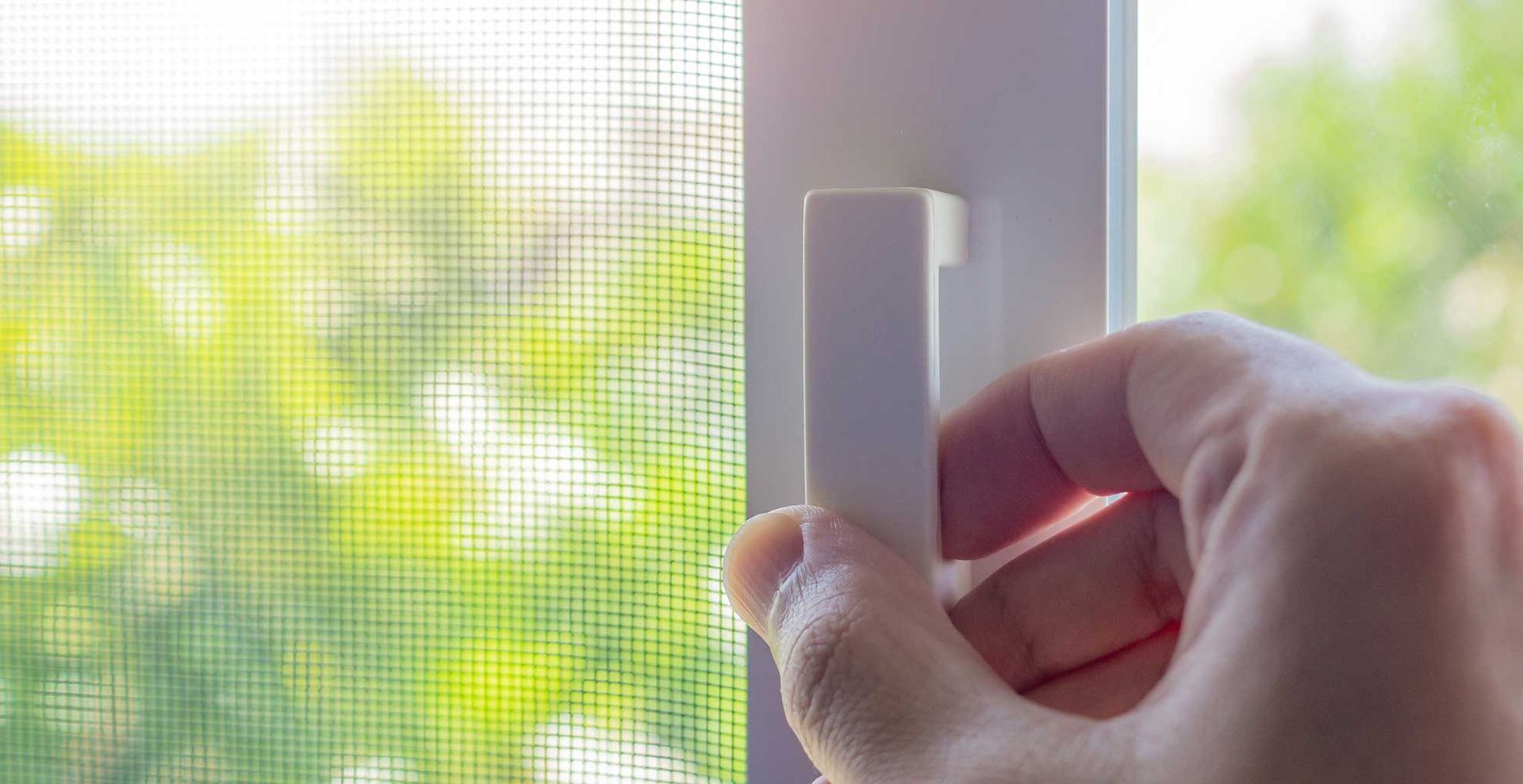 window with a fly screen as a suggestions for how to stop daddy long-legs coming in your house