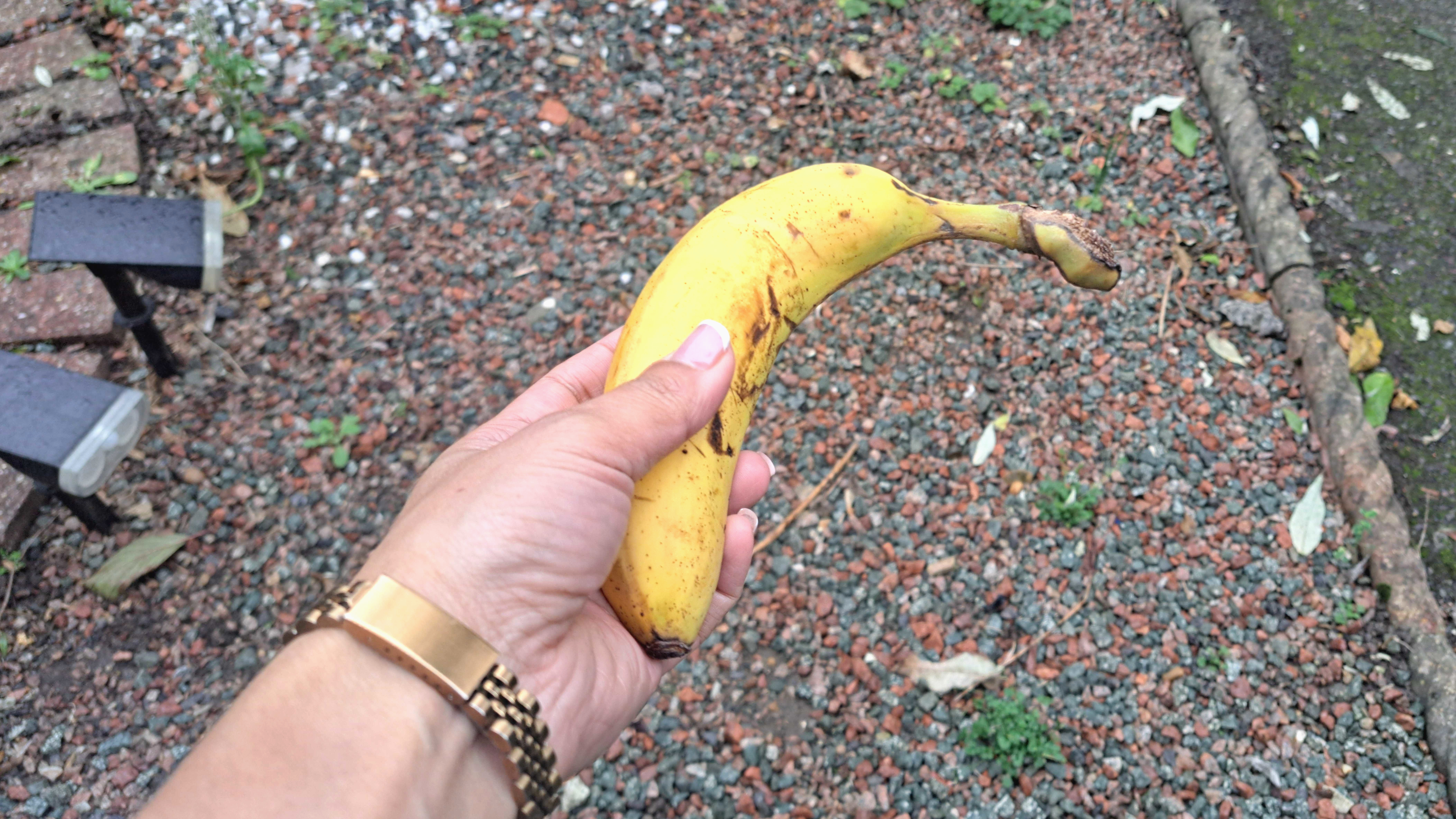 Holding banana to put peels in yard