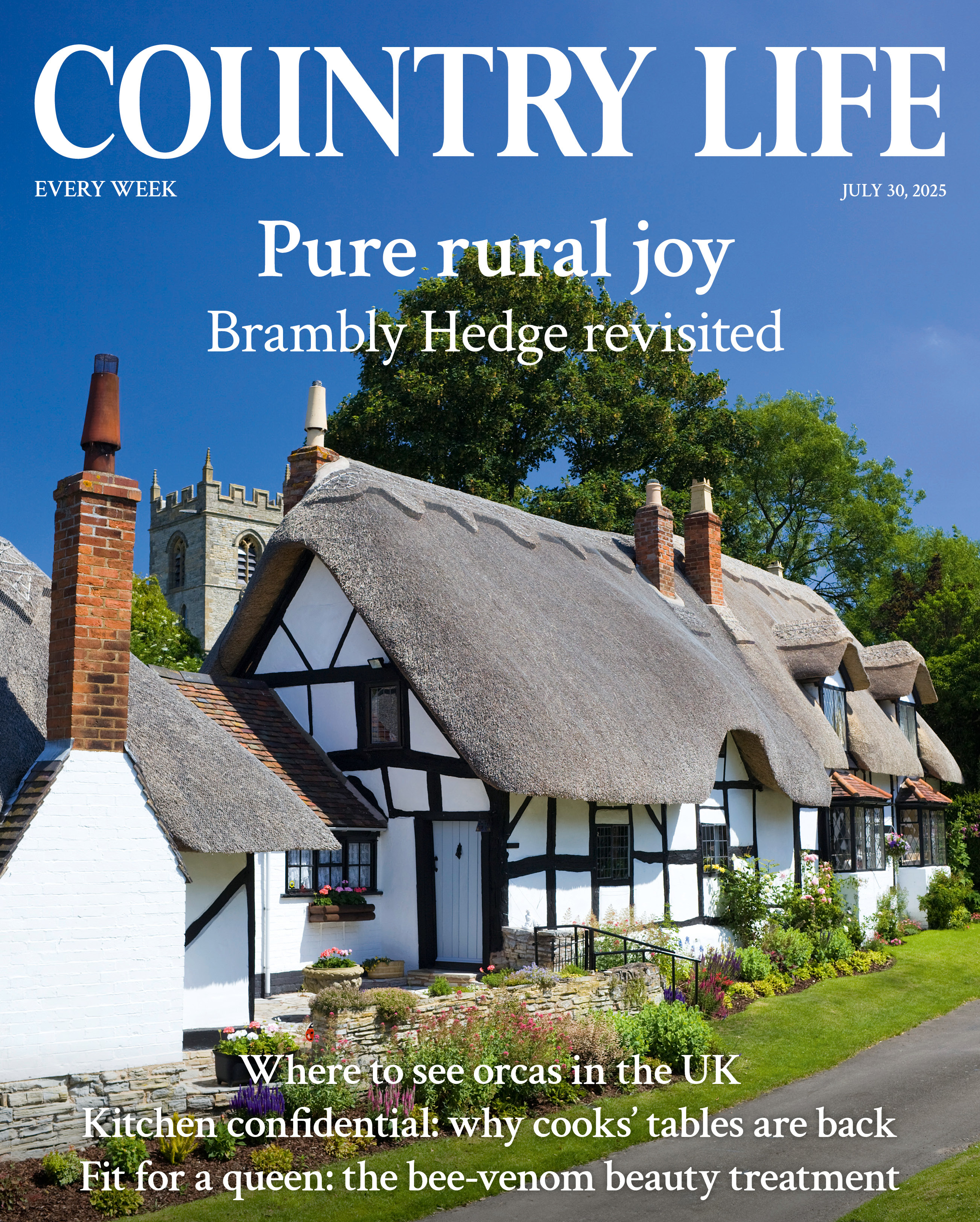 Cover of Country Life July 30, 2025, spots orcas around Britain, looks at Brambly Hedge and celebrates Revd W/V/ Awdry, the creator of Thomas the Tank Engine.