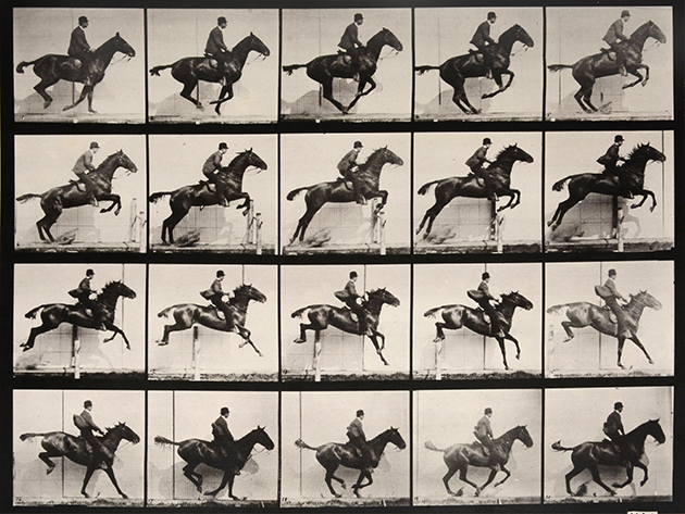 Animal Locomotion Plate 640 (Man Riding a Jumping Horse)