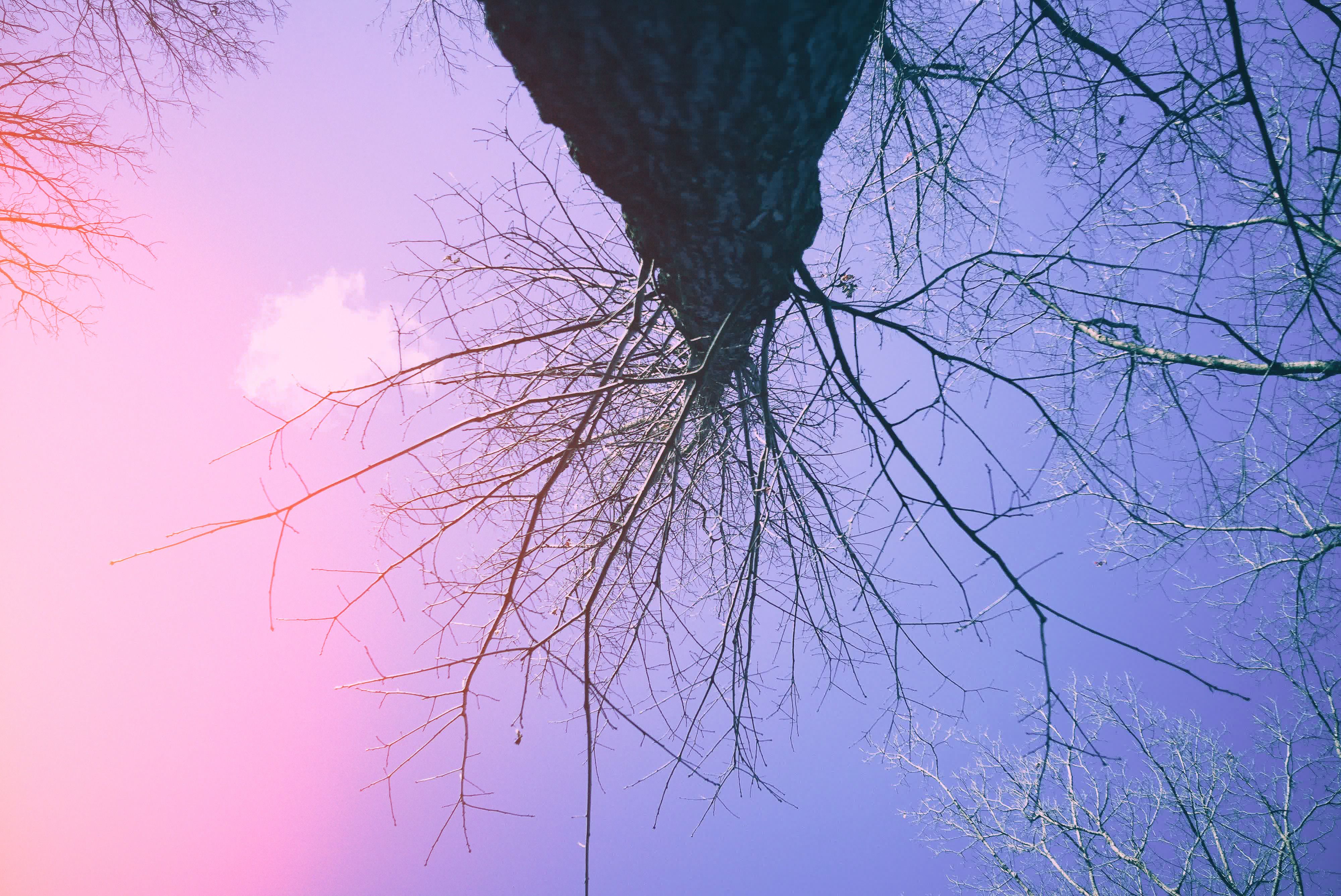 Images shot with the Rewindpix digital compact camera