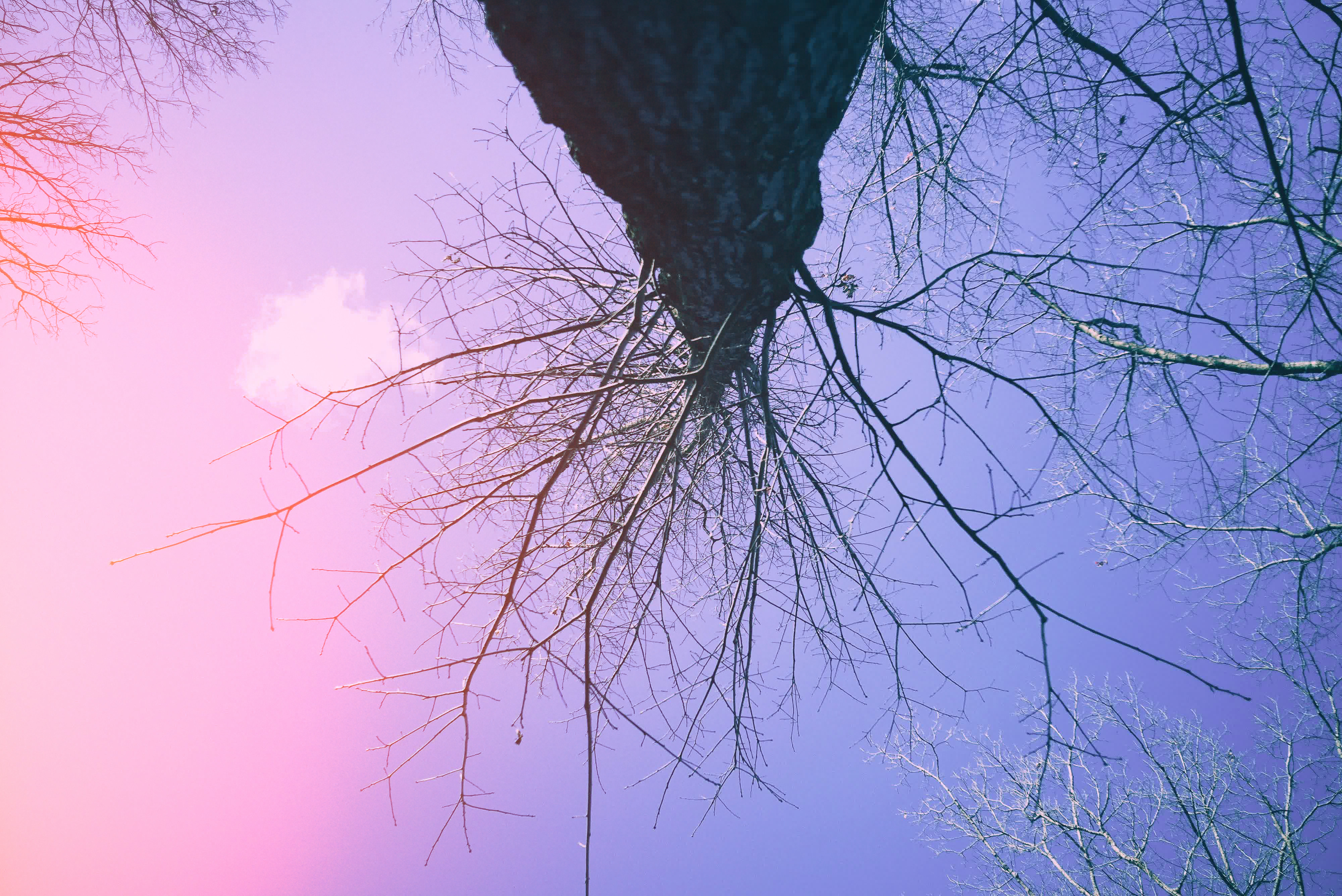 Images shot with the Rewindpix digital compact camera