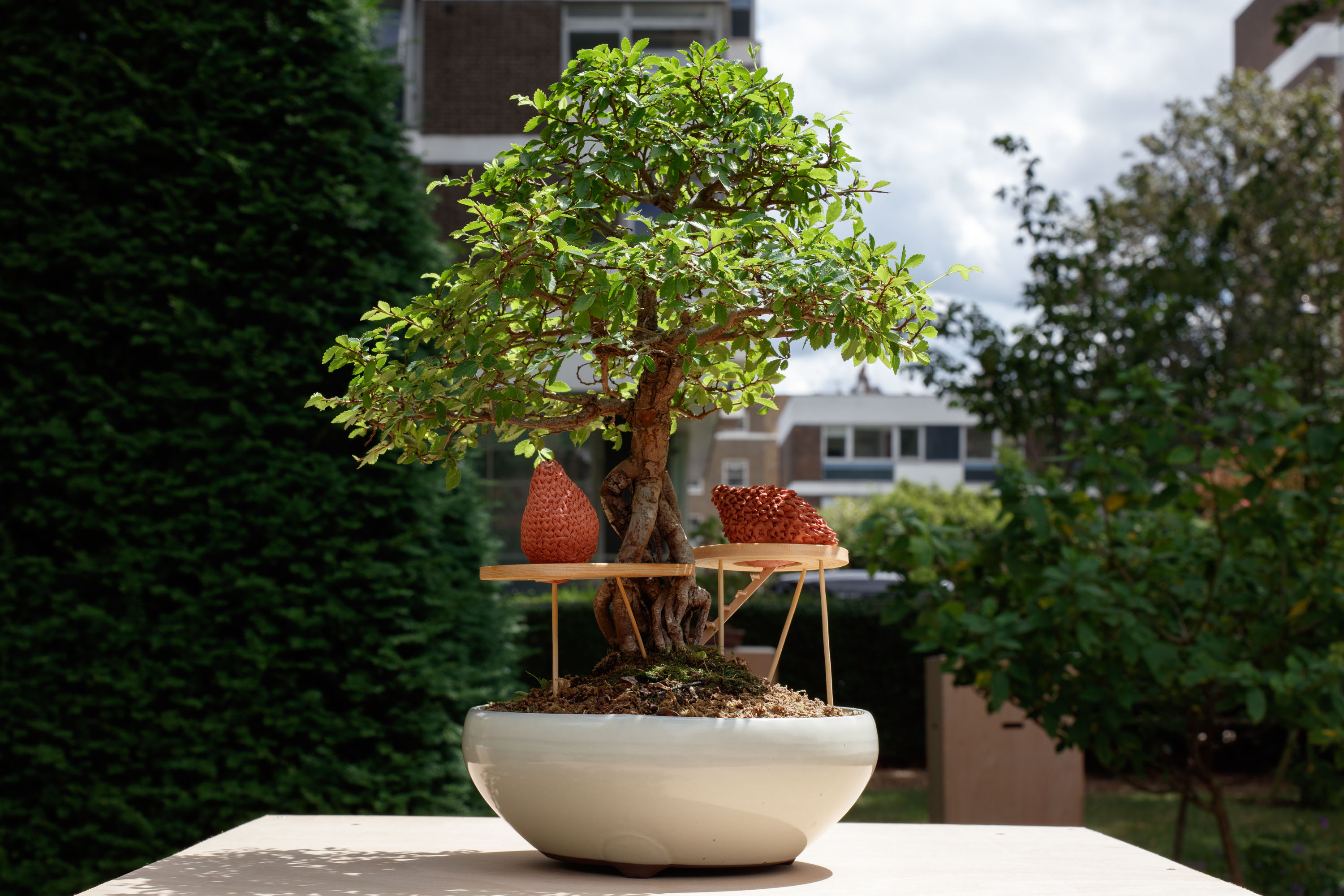view of miniature houses in a park as part of an open air Bonsai treehouse exhibition in London