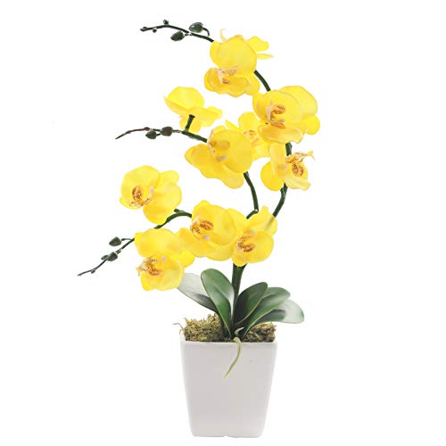 Yszl 15&quot; Tall Artificial Silk Phalaenopsis Orchid Flower Plant Pot Arrangements (yellow)