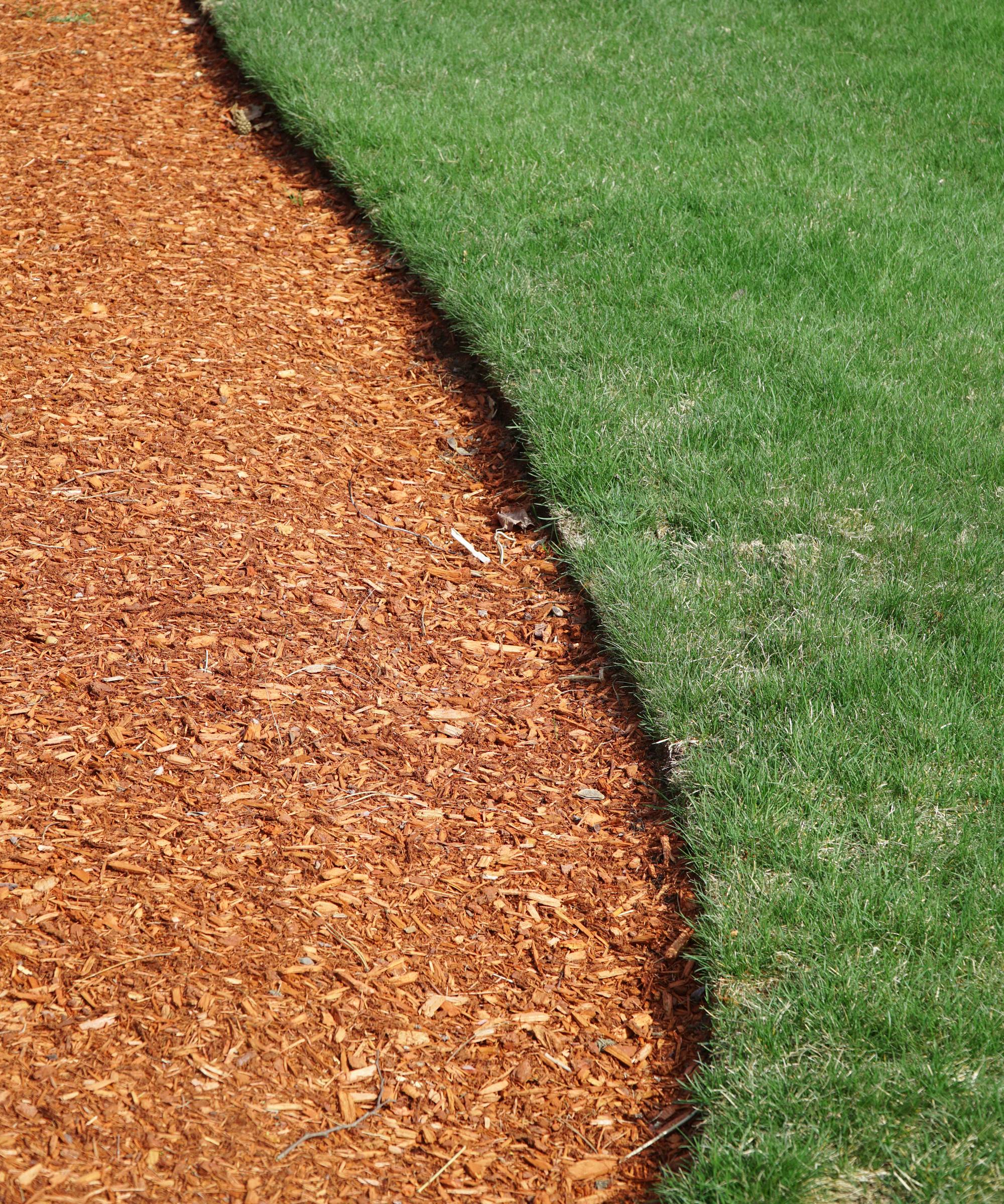 Wood mulch along border of lawn