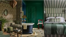 Pattern drenched room, green color drenched room and green stripe drenched room