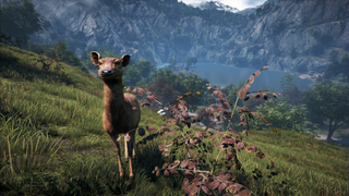 FarCry4 2014 12 27 15 17 38 525