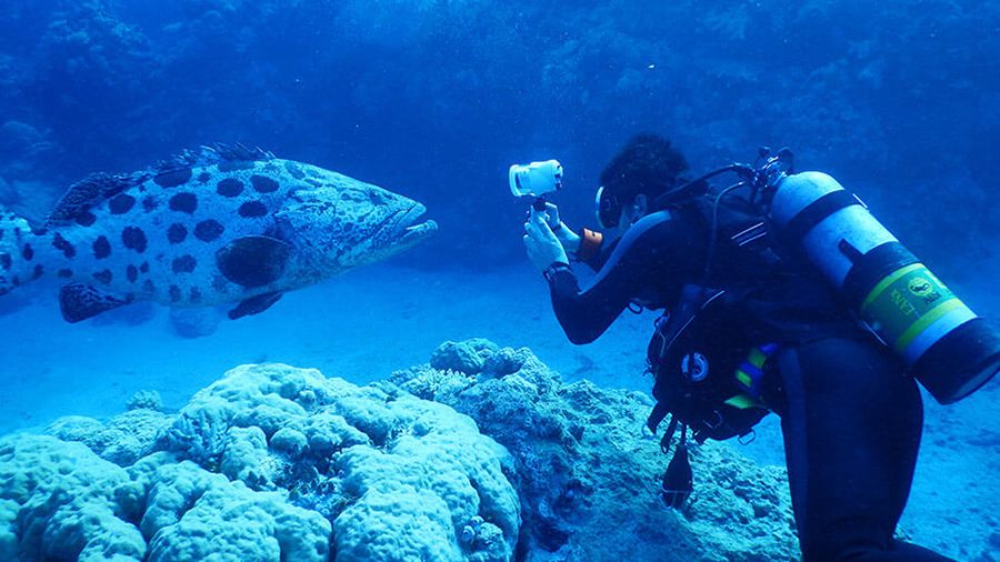 10 of the best underwater gadgets you can buy today T3