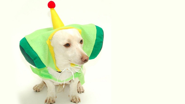 Here are 25 dogs in game-related Halloween costumes: Page 2 | GamesRadar+