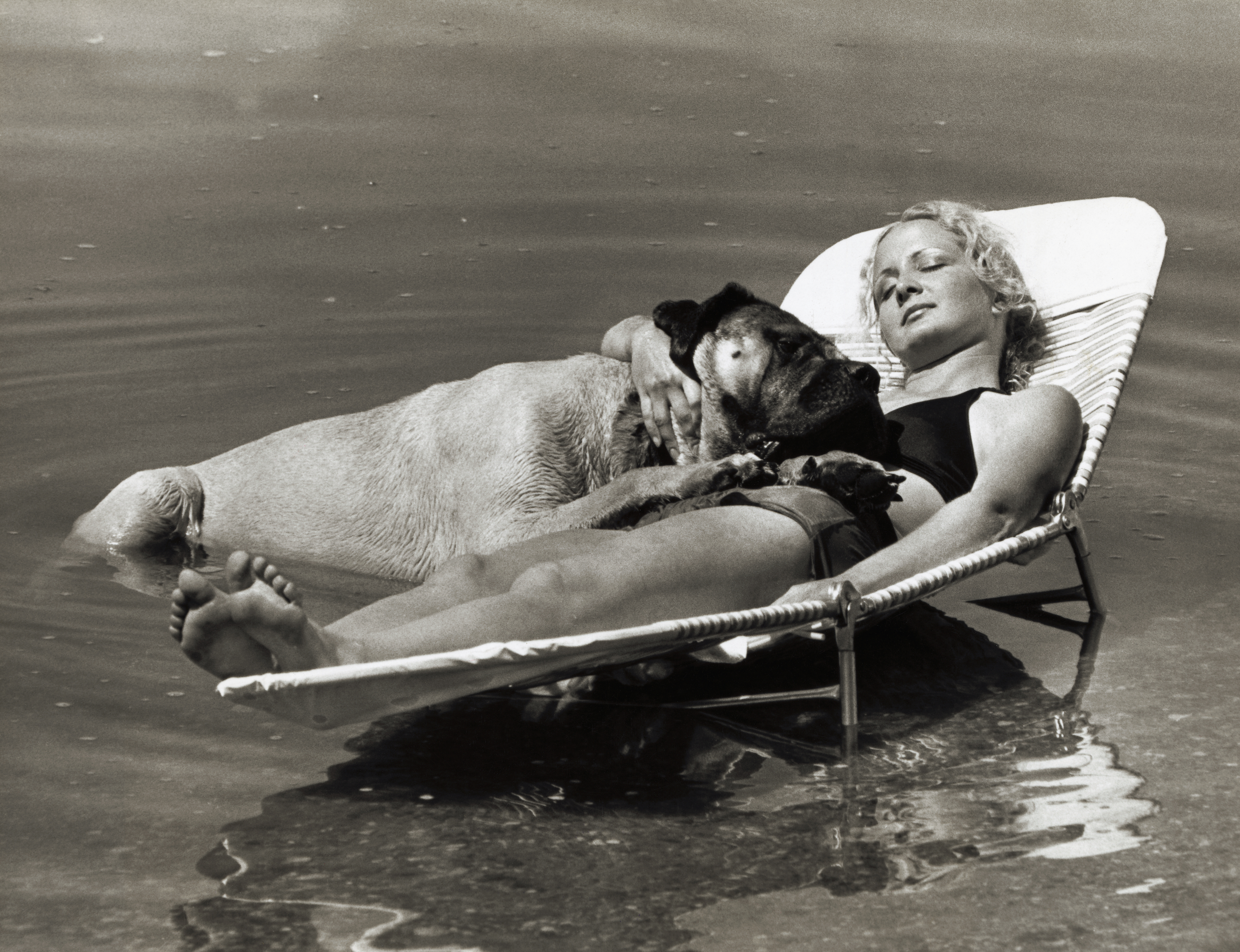 Mastiff dog and woman asleep on the edge of a lake. The woman is on a sun lounger that's partially submerged. The mastiff is half in the water, half on the woman.