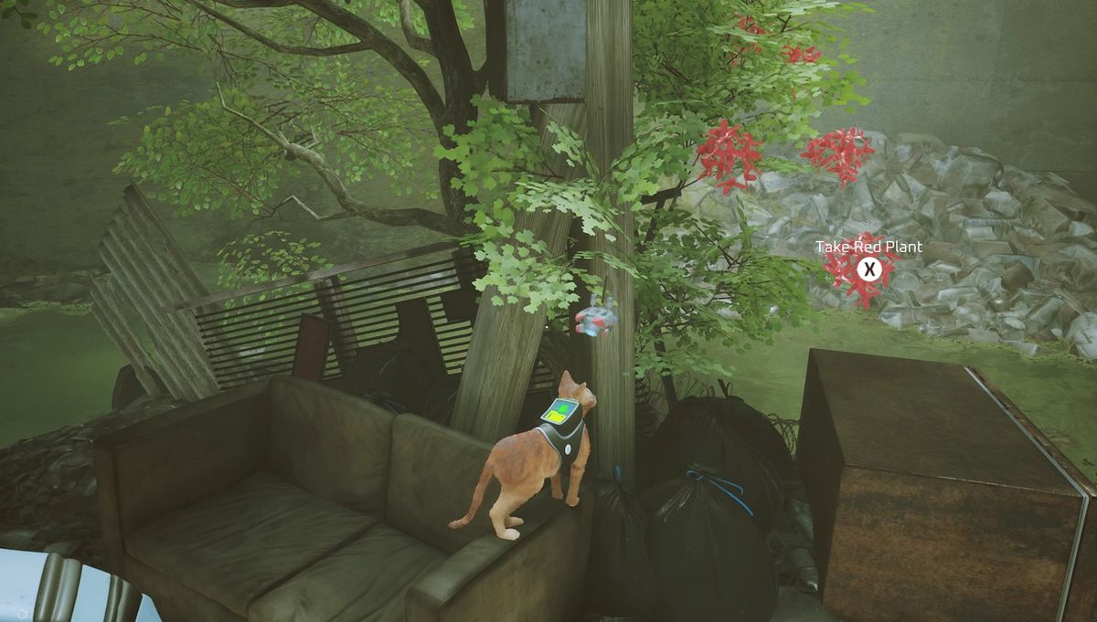 stray red flowers