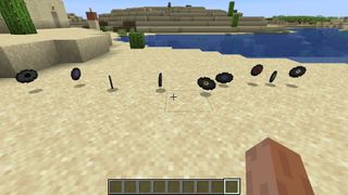 top Minecraft songs - a bunch of records littering one of Minecraft's beaches