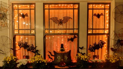 Halloween window display with bats and pumpkins