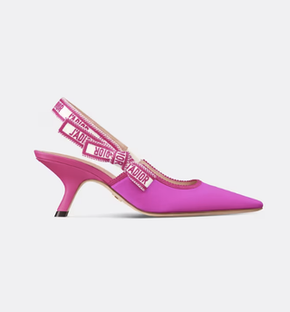 The Dior slingback shoes