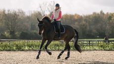 Laura Tomlinson rides a horse in canter at home