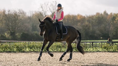 Laura Tomlinson rides a horse in canter at home