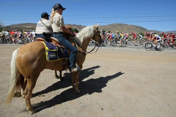 There was little horsing about to speak of on today's important stage (Sorry, but it had to be said).