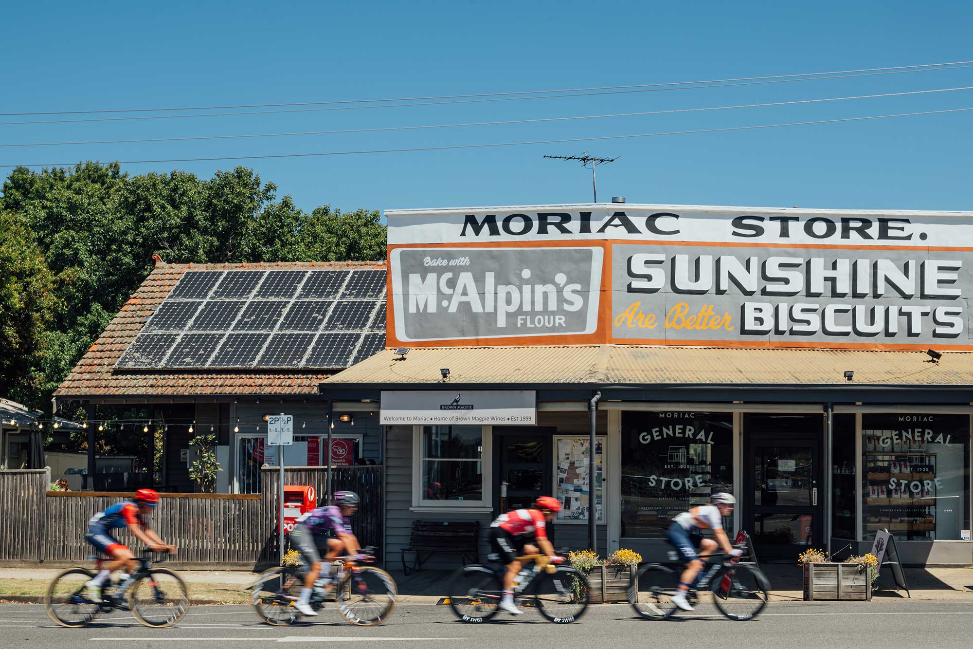 Cadel Evans Great Ocean Road Race Women 2025