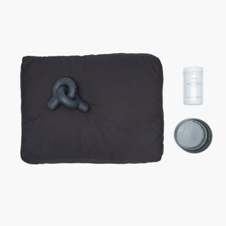 Fable's doggy beds, toys, and wipes against grey background