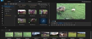 Best video effects software