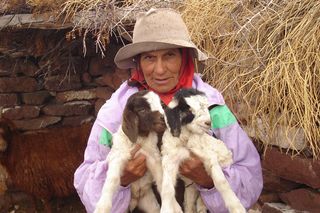 WCS works with Patagonia goat herders like Lucia Forquera to support a "green" cashmere cooperative that provides local incomes while protecting biodiversity