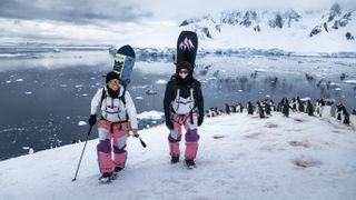 The De le Rue's hike through penguins in Antarctica