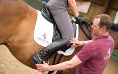 Saracen_dressagelesson_Feature