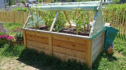 Converting raised bed into cold frame with plastic sheeting