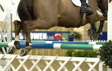 close up of legs jumping