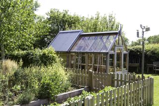 shed and greenhouse combined in one design