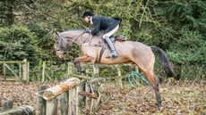 Heythrop-with-Carl-Hester-167_257909092_405919792.jpg